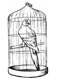 Coloring page parrot in a cage Bird In Cage, Colouring Art Therapy, Bird Cages For Sale, Parrot Drawing, Bird In A Cage, House Colouring Pages, Dog Coloring Page, Pokemon Coloring Pages, Art Drawings Sketches Pencil