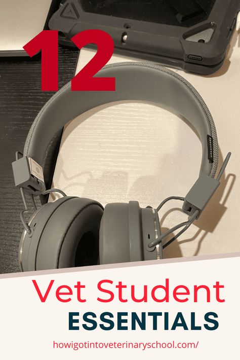 These 12 vet school essentials are what every veterinary student needs to start bag a successful path towards becoming a DVM! via @veterinaryschool How To Study In Vet School, Vet Tech Supplies, Vet School Outfits, Vet School Essentials, Vet Tech Must Haves, Vet School Aesthetic Notes, Vet Tech School Supplies, Vet Tech Aesthetic, Vet Inspiration