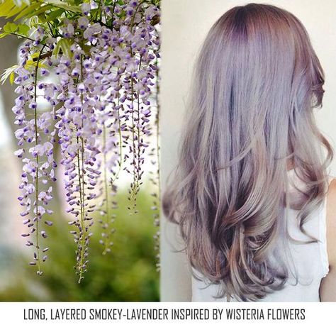 Smokey Lavender Hair, Smokey Lavender, Lavender Hair Colors, Wisteria Flowers, Lavender Hair, Hair Dye, Wisteria, Dyed Hair, Hair Makeup