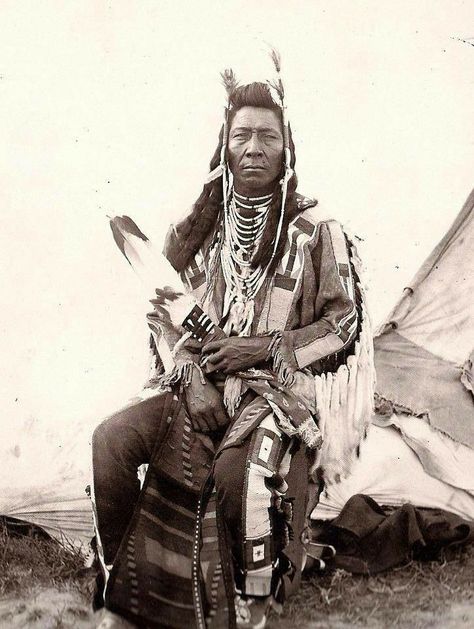 Indigenous American. Pinterest @sweetness Crow Michael Greyeyes, Ceremonial Dress, Native American Woman, Chief Joseph, Lakota Sioux, Native American Images, Native American Men, Native American Pictures, Native American Photos