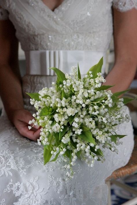 Lily Of The Valley Bouquet, Small Bridal Bouquets, 3 Daughters, Small Wedding Bouquets, Bride's Bouquet, Green Bouquet, Wedding Photo Gallery, Winter Bride, Wedding Info