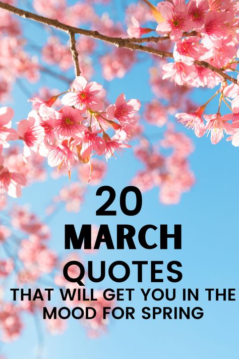 Spring Quotes Inspirational Life, Month Of March Quotes Inspiration, March Funny Quotes, Happy Spring Quotes Funny, Quotes For March Month, March Quotes Funny, Spring Sayings Quotes, March Motivational Quotes, March Inspo Quotes