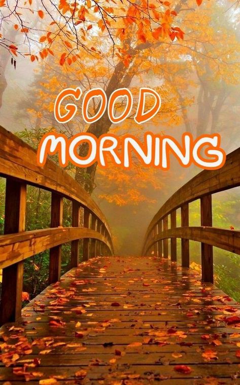 Autumn Good Morning Images, Good Morning Fall Quotes, Good Morning Autumn Images, Best Good Morning Images Hd, Autumn Good Morning, Good Morning Fall Images, Good Morning My Love Quotes, Morning My Love Quotes, Good Morning Fall