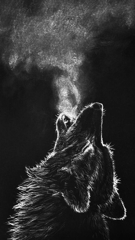 Wolf wallpaper by Zomka - 09 - Free on ZEDGE™ Wolf Wallpaper, Wallpapers, Black And White, Black