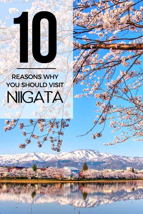 10 Reasons Why You Should Visit Niigata Prefecture in Japan – I am Aileen Travelling Japan, Traveling Japan, Niigata Japan, Japan Travel Destinations, Japan Itinerary, Japan Travel Tips, Japan Travel Guide, Travel Japan, Niigata