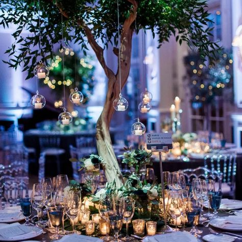 Autmumn weddings, incoming! This wedding table decor idea is so versity for fall and winter weddings, making it a true winner in our eyes. Wedding decor inspo is what we love at Hitched, so check out this article for more unique wedding ideas! A wedding breakfast table with a tree centrepiece and winter baubles hanging from it with candles inside Tree Centrepiece, Wedding Baubles, Enchanted Wedding Theme, Winter Themed Wedding, Winter Wonderland Wedding Theme, Themed Wedding Ideas, Winter Wedding Table, Winter Wedding Ideas, Wedding Theme Inspiration