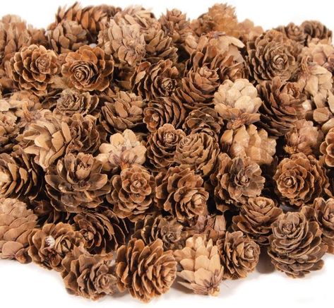 Fall Home Decor Ideas Pine Cones Decorations, Pine Cone Ornaments, Cone Ornaments, Pine Cone Christmas Decorations, Mini Cones, Small Pine Cones, Mini Pine Cones, Decorations For Christmas, Christmas Pine Cones