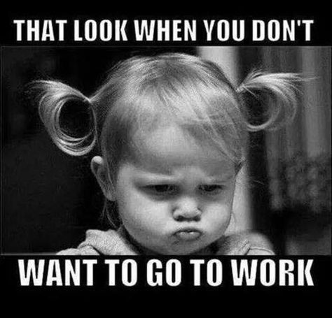 That look when you don't wanna go to work #Tuesday #face Funny Good Morning Memes, Office Pranks, Morning Memes, Foto Tips, Go To Work, Work Memes, E Card, Work Humor, Work Quotes