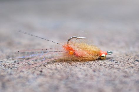 Saltwater Flies, Tan Legs, Fishing Kit, Red Fish, Kayaks, Fly Tying, Shrimp Recipes, Carp, Fishing Boats