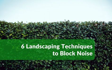 6 Landscaping Techniques to Block Noise - Blessing Landscapes Landscaping To Block Road Noise, Noise Blocking Landscaping, Landscaping Techniques, Noisy Neighbors, Sound Blocking, Leyland Cypress, Better Homes And Garden, Parts Of A Plant, Good Neighbor