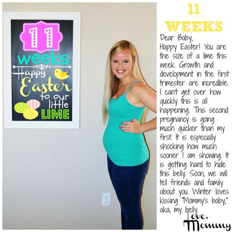 11 weeks - Pregnancy chalkboard bump progress - 11 weeks pregnant #pregnancy #baby #secondpregnancy #chalkboard #bump #update 31 Weeks Pregnant Belly, 28 Weeks Pregnant Belly, 11 Weeks Pregnant, 21 Weeks Pregnant, 27 Weeks Pregnant, Pregnancy Scrapbook, Pregnant Bellies, 28 Weeks Pregnant, Pregnancy Chalkboard