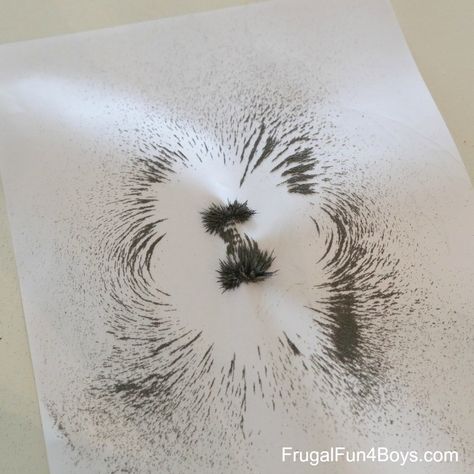 Make a CD Case Viewer for Magnets and Iron Filings - Frugal Fun For Boys and Girls Iron Filings, Cd Case, Cd Cases, Magnetic Field, Science Books, Earth Science, Maple Leaf Tattoo, Visual Art, Kindergarten