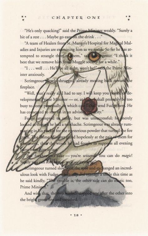 Hedwig Art, Imprimibles Harry Potter, Art Harry Potter, Harry Potter Nursery, Harry Potter Book, Buku Harry Potter, Theme Harry Potter, Book Page Art, Images Harry Potter