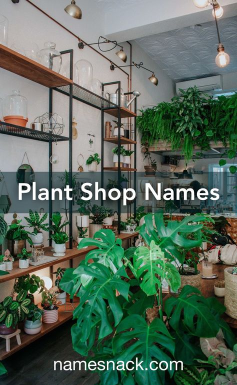 Indoor Plant Shop Ideas, Names For Plant Business, Small Plant Shop Interior, How To Start A House Plant Business, Plant Shop Ideas Inspiration, Small Plant Business Ideas, Boutique Plant Shop, Greenhouse Name Ideas, Plant Shop Interior Design