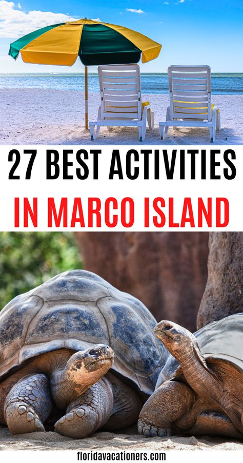 Things To Do In Marco Island Florida you must do for your perfect trip to paradise! marco island florida | what to do in marco island, where to stay in marco island including the best marco island resorts | things to do in florida| beaches in marco island| marco island, tours in marco island florida with kids | Marco island restaurants, activities and attractions | #marcoisland #florida #floridavacation Marco Island Florida Restaurants, Tigertail Beach Marco Island, Marco Island Florida With Kids, Marco Island Florida Things To Do, Marco Island Restaurants, Beaches Near Orlando, Tampa Beaches, Florida With Kids, Sanibel Island Beaches