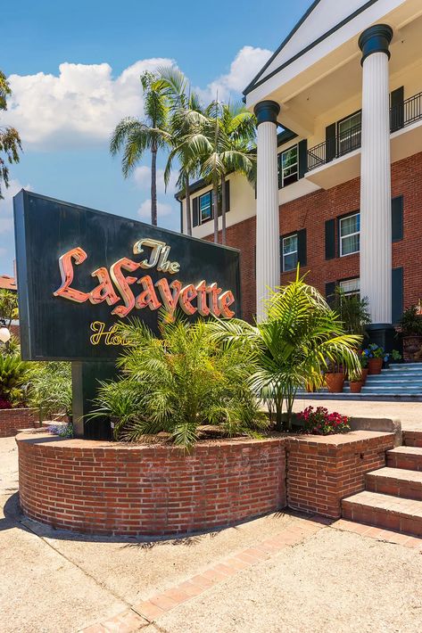 San Diego’s Lafayette Hotel Reopens With Brand New Restaurants and Bars - Eater San Diego Dark And Moody Interiors, Lafayette Hotel, North Park San Diego, Vintage Diner, Moody Interiors, Modern Mexican, Bars And Restaurants, North Park, Hotel Guest