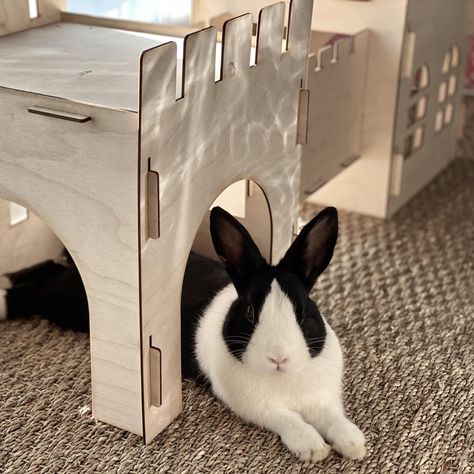 Rabbit Castle, Huge Castle, Bunny Care Tips, Wood Rabbit, Hay Rack, Rabbit Enclosure, Bunny Room, Flemish Giant, Prey Animals