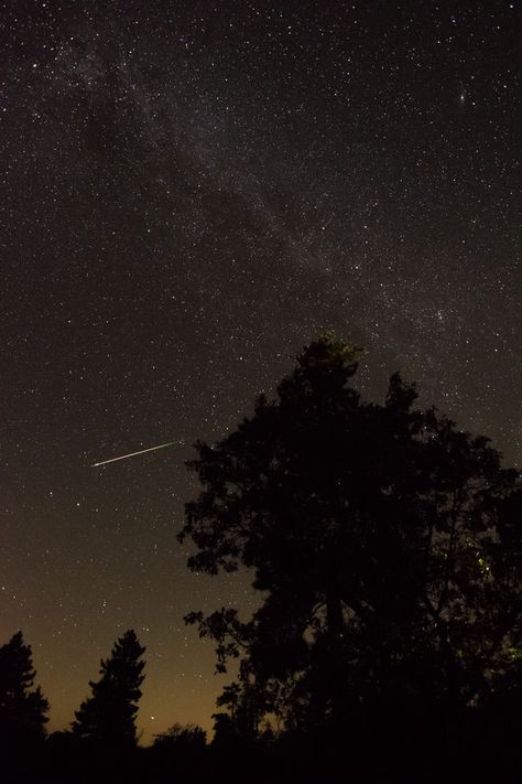 Perseid Meteor Shower 2016! Perseid Meteor Shower, 2016 Pictures, Today In History, Meteor Shower, Amazing Photos, Nature Pictures, First Photo, National Geographic, Night Sky