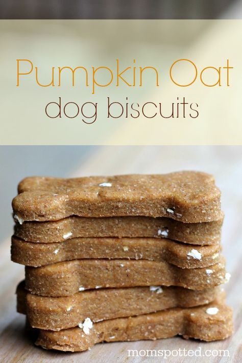 Oat Biscuits, Pup Treats, Homemade Dog Cookies, Homemade Pet Treats, Pumpkin Oats, Pet Recipes, Easy Dog Treat Recipes, Animal Treats, Dog Biscuit Recipes