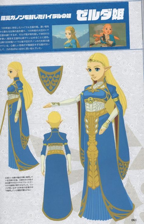 Princess Zelda Costume, Zelda Costume, Zelda Anime, Link Cosplay, Princesa Zelda, Zelda Cosplay, Link Art, Zelda Breath Of The Wild, Zelda Art