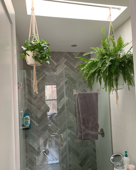 A tension rod propped into the opening of our bathroom skylight makes the perfect plant holder to create a green oasis! Bathroom With Skylight, Bathroom Plants No Sunlight, Bathroom Skylight, Shower Plants, Shower Skylight, Skylight Bathroom, Skylight Installation, Skylight Design, Skylight Kitchen