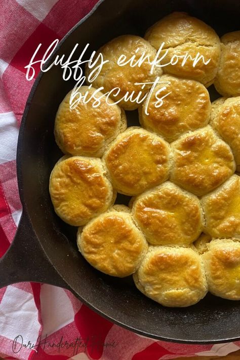 Fluffy, buttery, and delicious, these homemade einkorn biscuits are guaranteed to be a new family favorite. They are made with wholesome pantry staple ingredients, and then baked in a cast iron skillet to achieve even better texture. A must try! Einkorn Biscuits, Bread Beckers, Blueberry Cake Donuts, Mini Blueberry Muffins, Einkorn Recipes, Chocolate Chip Pecan Cookies, Einkorn Flour, Flaky Biscuits, Drop Biscuits