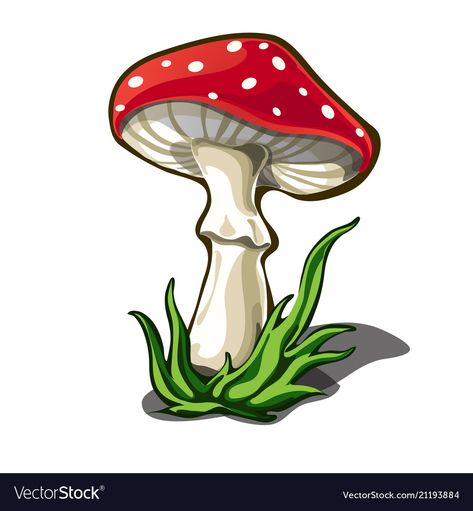 Poisonous Mushrooms, Cartoon Mushroom, Mushroom Pictures, Fly Agaric, Mushroom Drawing, Clip Art Pictures, Mushroom Art, Vector Drawing, Amazing Art Painting