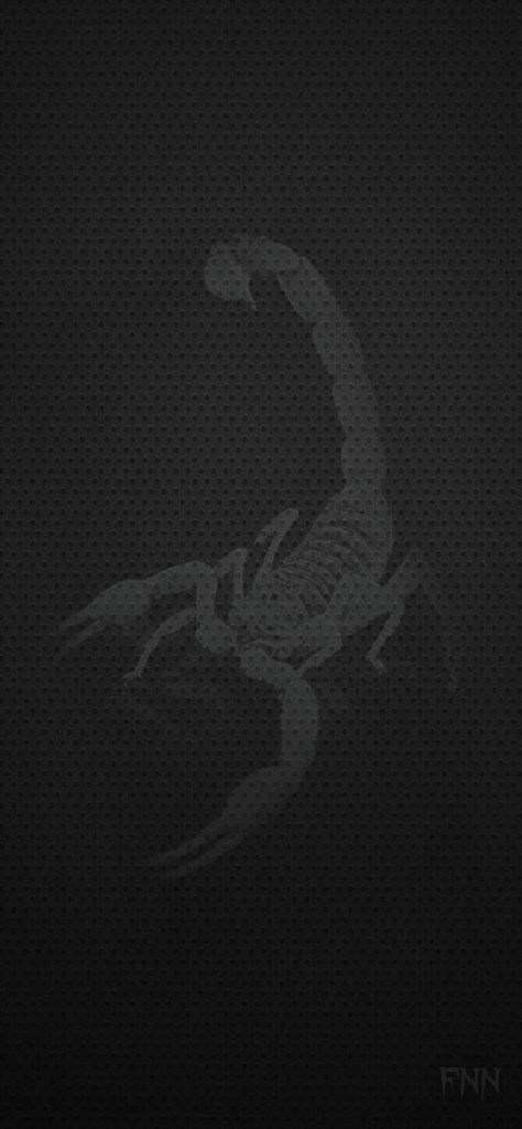 fnn Scorpion Wallpaper Iphone, Scorpio Wallpaper Iphone, Scorpio Wallpaper, Wallpaper Clock, Iphone Wallpaper Clock, Juventus Wallpapers, Harley Davidson Wallpaper, Amazing Wallpaper, Android Phone Wallpaper