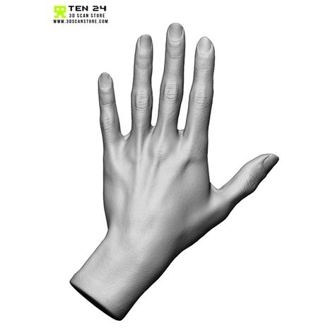 Female Bundle Pack Straight Hand Reference, 3d Hand Reference, Woman Hands Reference, Female Hand Anatomy, Female Hands Reference, Hand Anatomy Reference, Woman Hand Reference, Female Hand Reference, Finger Anatomy