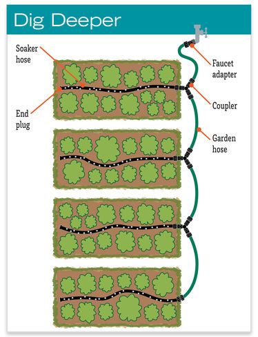 Soaker Hose Irrigation, Garden Rows, Survival Garden, Garden Watering System, Taman Air, Soaker Hose, Drip Irrigation System, Survival Gardening, Garden Images