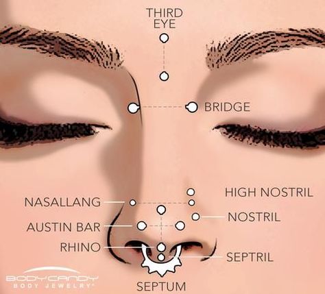 A guide to the different types of nose piercings - Multiple and symmetrical piercings of the nose are trending right now, BodyCandy wants to help you make sure you know your type!  Septum, high nostril, bridge? What do you want? Piercing No Rosto, Types Of Nose Piercings, Types Of Nose, Spiderbite Piercings, Piercing Nostril, Piercing Bouche, Bodysuit Tattoos, Ear Peircings, Piercing Chart