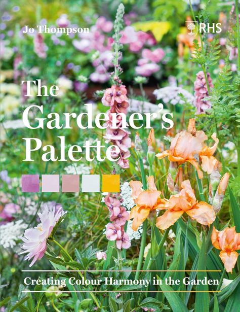 The Gardener’s Palette: Creating Colour Harmony in the Garden: Thompson, Jo, Royal Horticultural Society: 9781604699593: Amazon.com: Books Colour Harmony, Astrantia Major, The Gardener, Gardening Books, Colorful Plants, Chelsea Flower, Chelsea Flower Show, Color Harmony, Different Plants