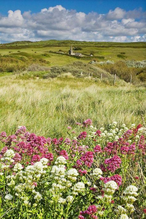 St Enodoc Church, Daymer Bay, Polzeath, North Cornwall England Country, Scilly Isles, Summer Field, North Cornwall, Devon And Cornwall, Cornwall England, British Countryside, England And Scotland, English Countryside