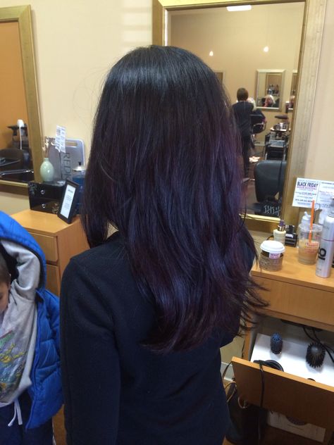 Dark purple hair. I would love for my hair to turn out this colour. Quite subtle but it would be a nice result considering that I am not bleaching. See how I go tomorrow. Subtle Violet Hair, Black Hair With Red Tint, Plum Black Hair, Violet Black Hair, Dark Plum Hair, Dark Purple Hair, Plum Hair, Hair Tint, Violet Hair