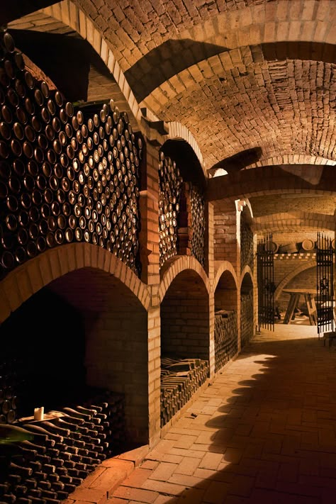 Old Wine Cellar, Unique Wine Cellar, Wine Memes, Wine Cellar Basement, Wine Cave, Home Wine Cellars, Wine Cellar Design, Italy Wine, Cellar Design