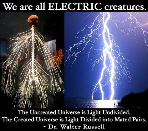 We the æther 道♡ॐ✝️☯️☸️𓂀🔥 on Instagram: “⚡"We are all electric creatures, floating in the electric sea of this electric universe." – Walter Russell . Comparison between human…” Walter Russell, Electric Universe, Sacred Science, Spirit Science, Everything Is Connected, Ange Demon, Ancient Knowledge, Science Facts, Space And Astronomy