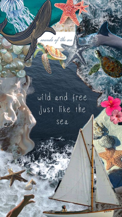 Animal Collage Wallpaper, Sea Collage, As Free As The Ocean, Sea Life Wallpaper, Beach Wall Collage, Simple Family Meals, Cute Home Screens, Ocean Girl, Ocean Wallpaper