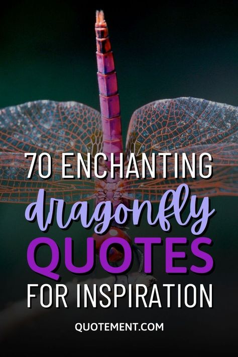 I’m bringing you a collection of 70 inspirational dragonfly quotes about these fascinating little creatures that make even adults believe in magic. Dragonfly Quotes Inspiration Sayings, Seeing Dragonflies Meaning, Dragonfly Meaning, Dragonfly Symbolism, Dragonfly Quotes, Dragon Quotes, Dragonfly Images, Dragonfly Drawing, Fly Quotes