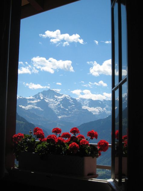 View of The Jungfrau Summit, from the top of Harder Kulm, Interlaken, Switzerla.... #maldives #maldives hotels #maldives dreams #switzerland #switzerland tourism #switzerland hotels #thailand #thailand tourism #thailand tourism covid #thailand hotels Wallpaper Hippie, Mountains Flowers, Window Views, A Room With A View, Room With A View, Window View, Trik Fotografi, Through The Window, Nature Aesthetic