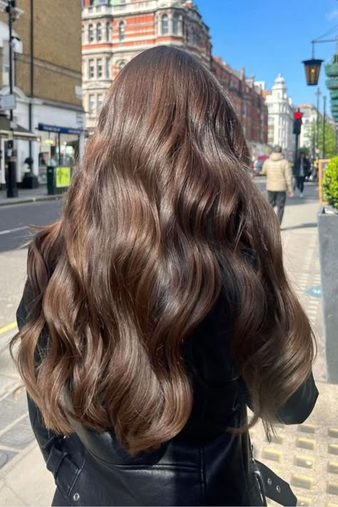 Healthy Brown Hair, Long Hair Highlights, Natural Brown Hair, Warm Brown Hair, Chestnut Brown Hair, Brunette Aesthetic, Dark Blonde Hair Color, Hair Gloss, Brown Hair Inspo