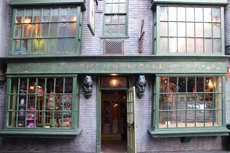 The Magical Menagerie animal shop has a snake in the window that will speak to you. Weasley Wizard Wheezes, Magical Menagerie, Animal Shop, Leaky Cauldron, Small Fountains, The Sorcerer's Stone, Real Fire, Diagon Alley, Universal Studios Orlando