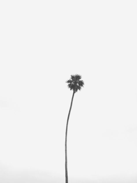 A Well Traveled Woman, Minimal Photography, Photography Beach, Minimalist Photography, Black N White, White Photo, White Aesthetic, White Photography, Black And White Photography