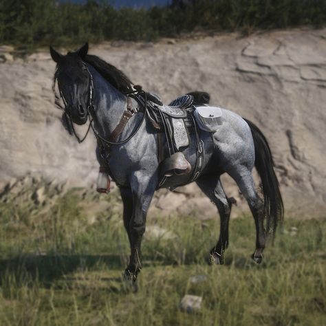 Rdr2 Missouri Fox Trotter, Rdr Horses, Rdr2 Characters, Rdr2 Horses, Blue Roan Horse, Horse Outfits, Red Dead Redemption 3, Different Horse Breeds, Horse Story