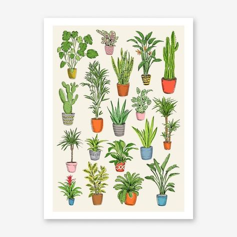 May van Millingen - Fy Plants Art, Plant Art Print, Unframed Art Prints, Bedroom Boho, Plant Print, Plant Art, Pastel Art, The Press, Unframed Art