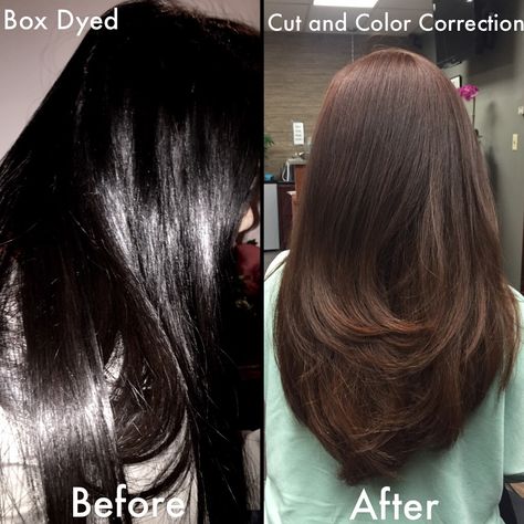 Box dyes are the troubles of my life lol we took 4 hours to take the black box dye out of her hair and added this beautiful chocolate brown color ❤️ Chocolate Hair Dye, Light Carpet, Dark Hair Dye, Box Dye, The Troubles, Black Hair Dye, Chocolate Hair, Chocolate Brown Color, Beautiful Chocolate