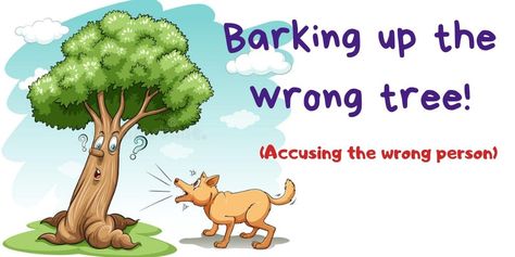 Barking up the wrong tree definition: Trying to do something in a way that will not work or accusing the wrong person. List some more examples! - - #speakenglish #toefl #englishclass #englishlearning #englishvocabulary #idioms #learnenglishonline #education Barking Up The Wrong Tree, Tree Costume, Learning English Online, Wrong Person, English Class, Do Something, English Vocabulary, Learn English, Something To Do