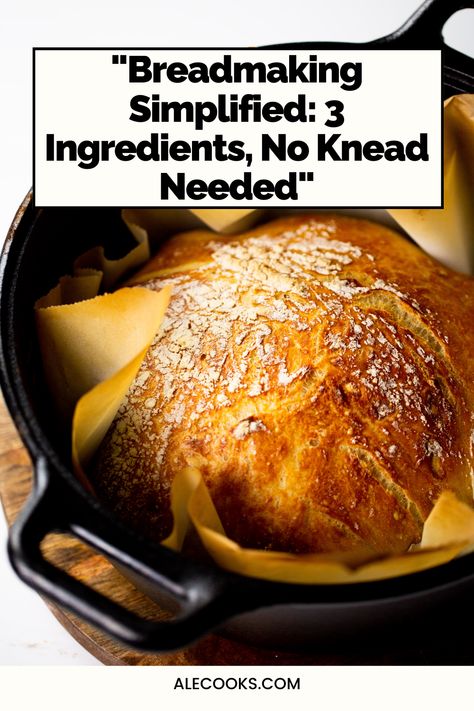 Hey there bread lovers! 🍞✨ I've got the perfect solution for you! Dive into the world of baking with my super simple 3-Ingredient No-Knead Bread. It's as easy as mix, wait, and bake! No fancy equipment, no complicated steps, and absolutely no kneading required. Just three basic ingredients - flour, water, and yeast - and you're on your way to a beautifully crusty, warm loaf that smells like heaven. Click through for the full recipe and let's fill your home with the magic scent of baking! Three Ingredient Bread, Basic Bread Recipe, Baking Process, Knead Bread Recipe, Vegan Summer Recipes, Bread Maker Recipes, Artisan Bread Recipes, Knead Bread, Comfort Soup