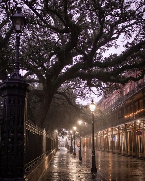 All Posts • Instagram Bayou Wallpaper, New Orleans Apartment, Jackson Square New Orleans, 1920s Wallpaper, Bayou Country, Square Prints, Best Wallpaper Hd, Visit New Orleans, Jackson Square