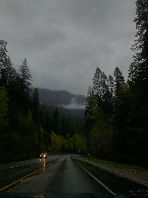 Finny Smith, Pnw Aesthetic, Cozy Rainy Day, Trust Fall, Dark Naturalism, Dark Forest Aesthetic, Rainy Day Aesthetic, Dark Nature Aesthetic, Gloomy Day