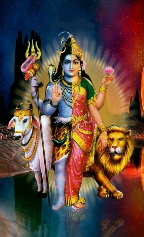 Shiv Parvati Pic, Shiv Parvati Wallpaper, Parvati Wallpaper, Shiv Parvati Love, Pic Cartoon, Bhole Nath, God Pics, Shiv Parvati, Durga Picture